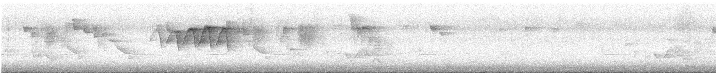 American Redstart - ML242075281