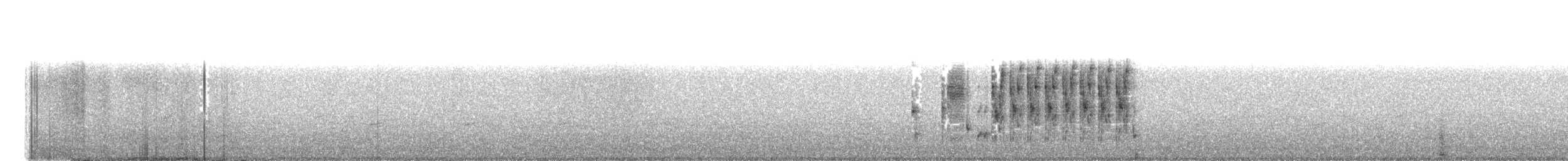 Troglodyte des marais - ML242080561