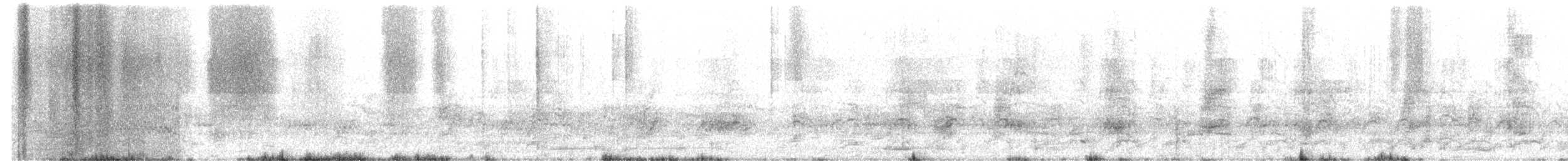 Cassin's Auklet - ML242097941