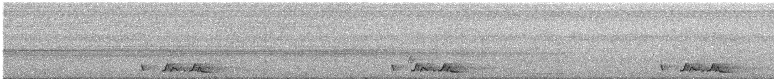 Carolinanachtschwalbe - ML242101401