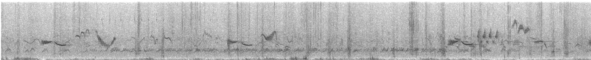 Rufous-tailed Scrub-Robin - ML242108371