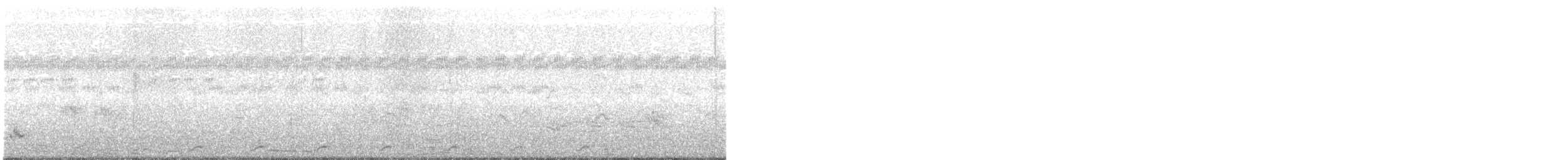 White-breasted Waterhen - ML242121531