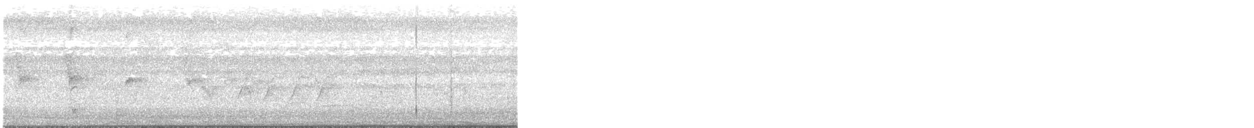 Black-naped Monarch - ML242121581