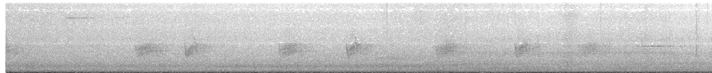 Savanna Nightjar - ML242121751