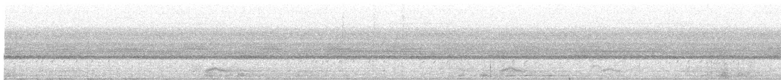 Pauraquenachtschwalbe - ML242121801