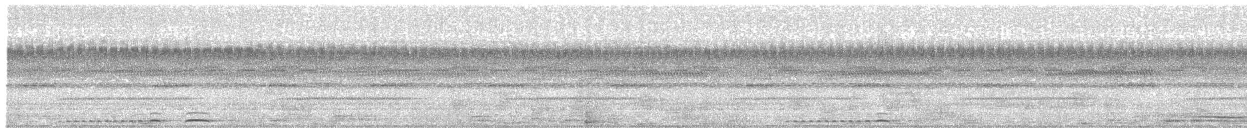 Tropenkreischeule - ML242121911