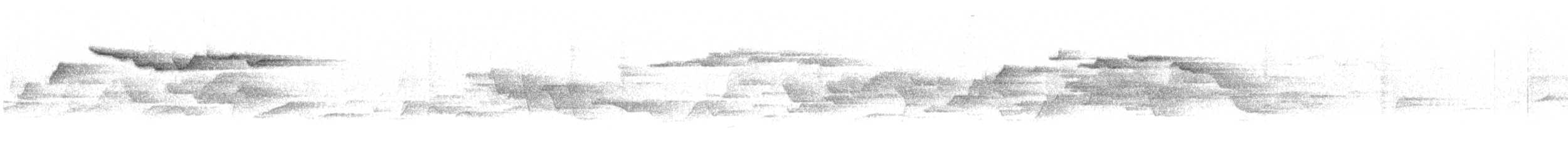 Mosquitero de la Sonda - ML242141141