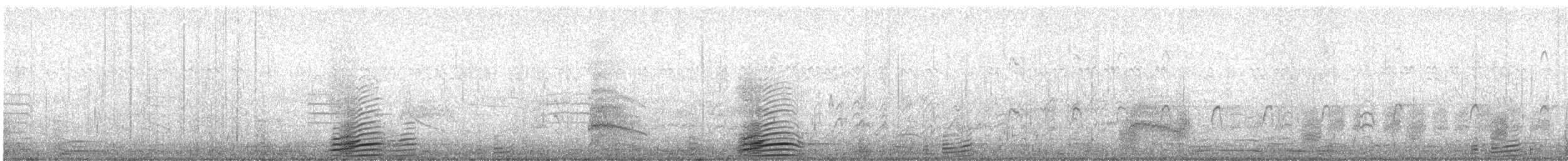 Ruddy Shelduck - ML242145631