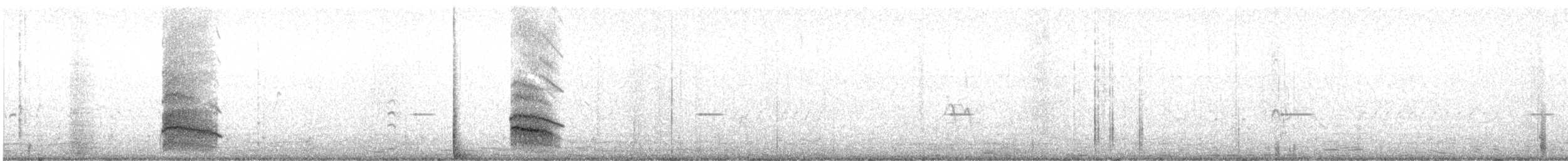 Gaviota Centroasiática - ML242156121
