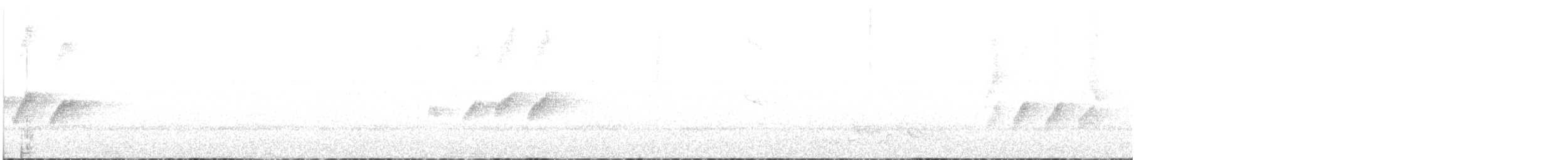 アカハラサンコウチョウ（tricolor／neumanni） - ML24216261