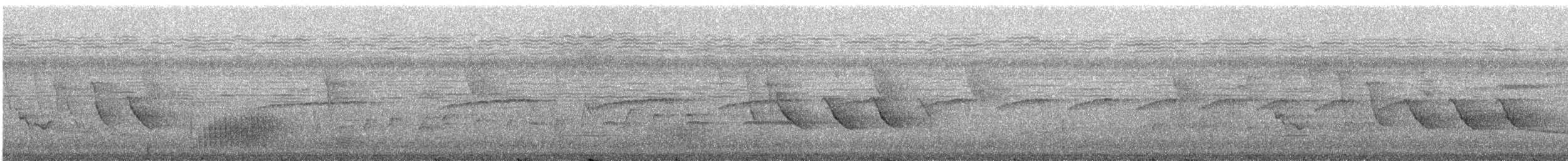 klatremaurvarsler (anabatinus gr.) - ML242172