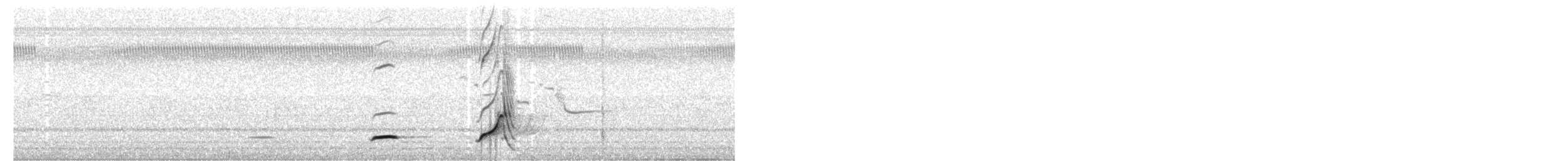 Northern Bobwhite - ML242173351