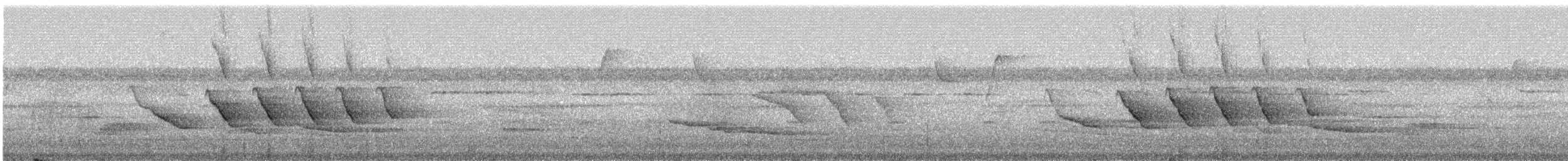 klatremaurvarsler (anabatinus gr.) - ML242175