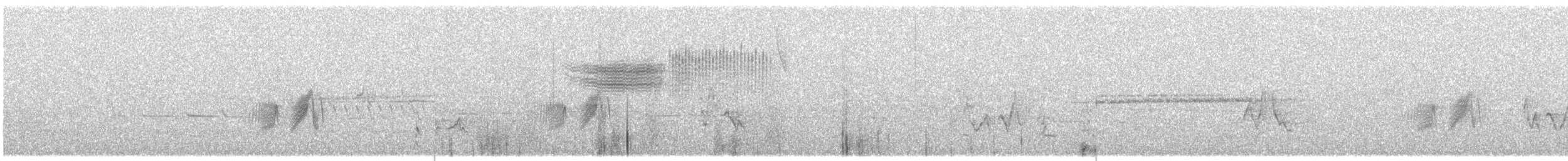 Moucherolle des aulnes - ML242188251