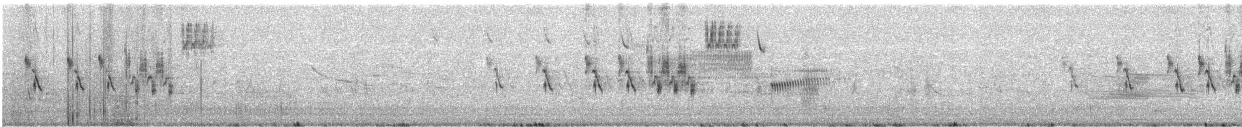 Rotschulterkardinal - ML242196211