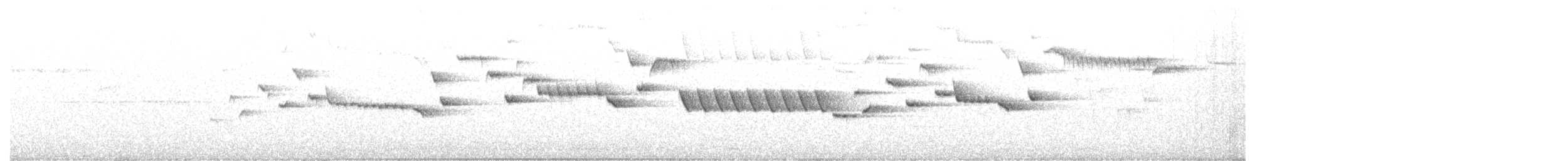 Winter Wren - ML242211261