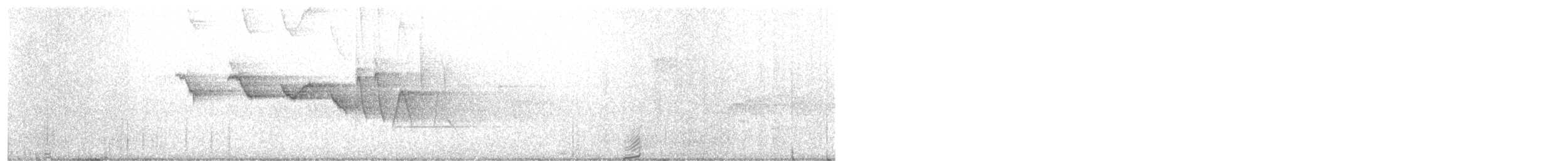 Paruline hochequeue - ML242213211