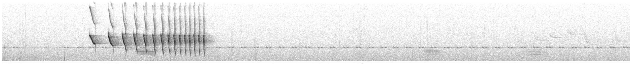 Dusky-tailed Antbird - ML242217931