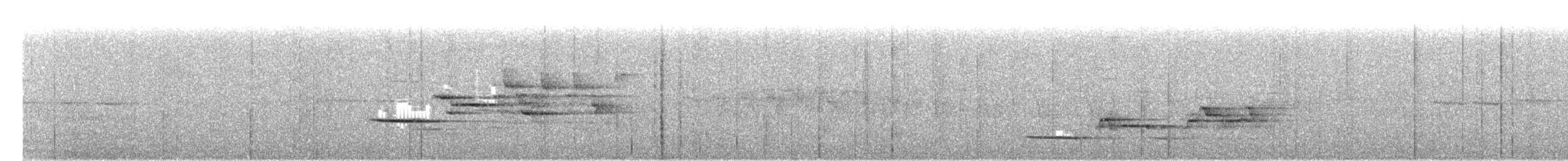 Münzevi Bülbül Ardıcı - ML242219631