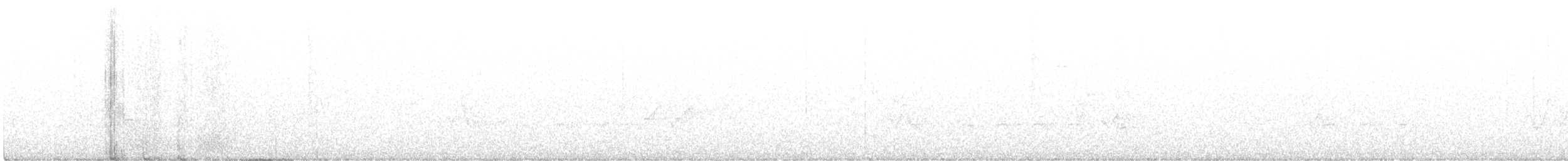 Hooded Warbler - ML242223901