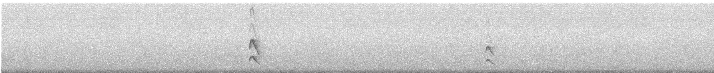 Kalın Gagalı Sinklot - ML242237