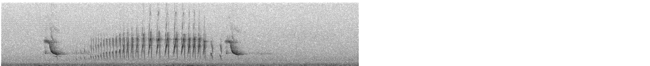 Kalın Gagalı Sinklot - ML242251