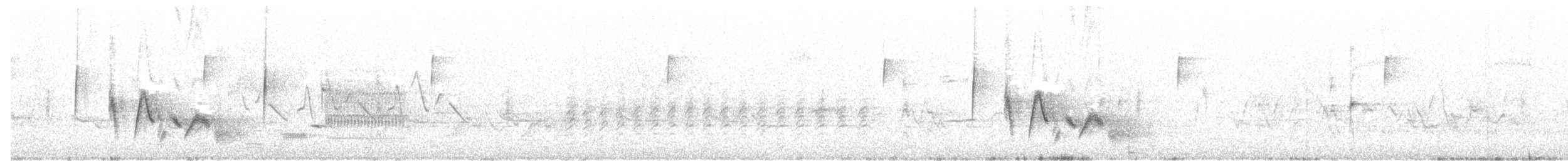 White-eyed Vireo - ML242267561