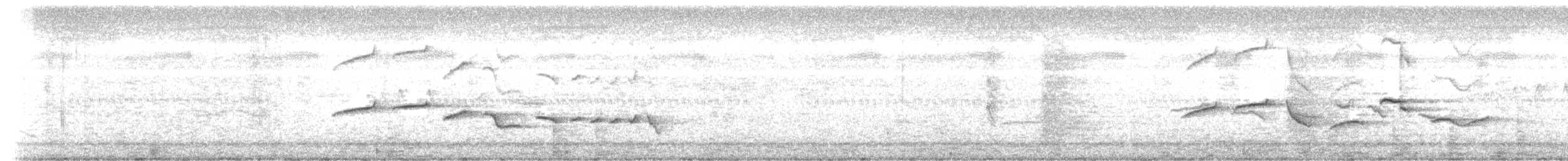 Oriental Magpie-Robin - ML242267781