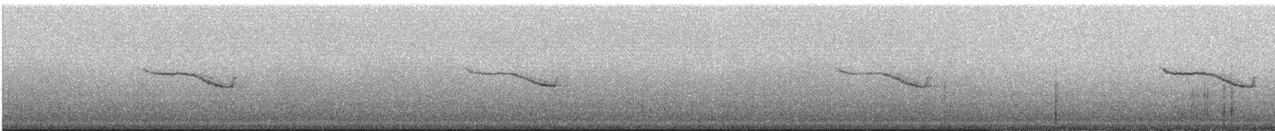 Breitspiegel-Nachtschwalbe (ruficervix) - ML242275