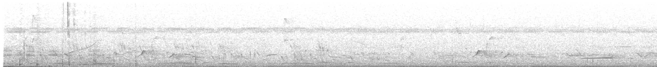 Lesser Ground-Cuckoo - ML242275291