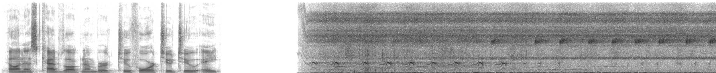Gray-headed Kite - ML24228