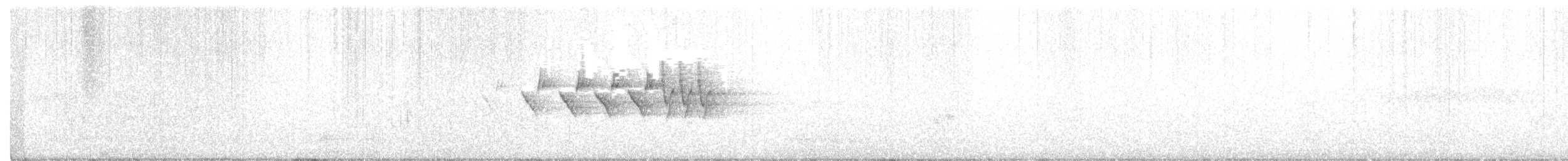 MacGillivray's Warbler - ML242300571