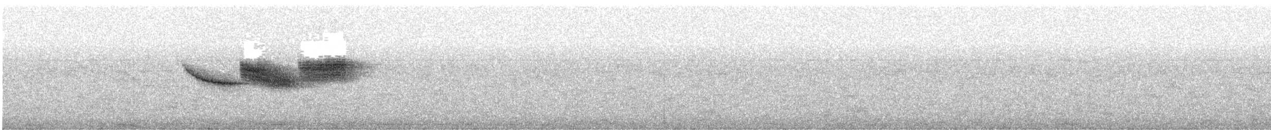 lesňáček modrohřbetý - ML242309981