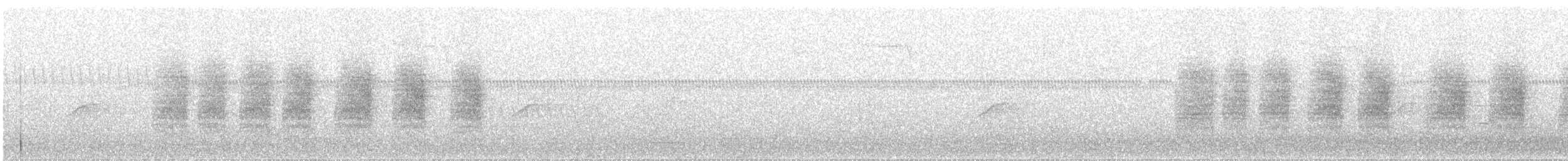 Поплітник каролінський - ML242324161