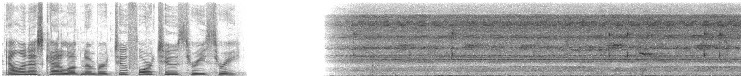 Great Tinamou - ML24233