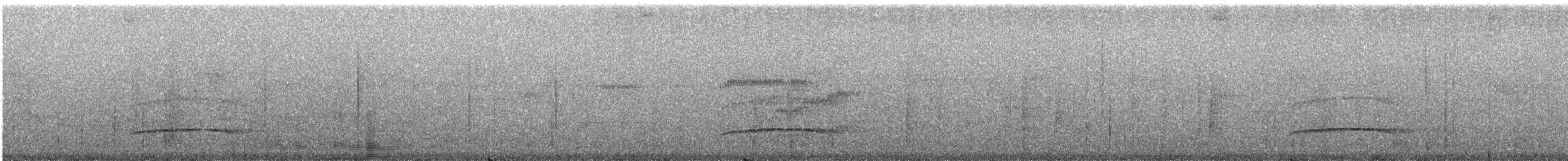 Boz Başlı Sinekkapan (nigriceps/atriceps) - ML242330