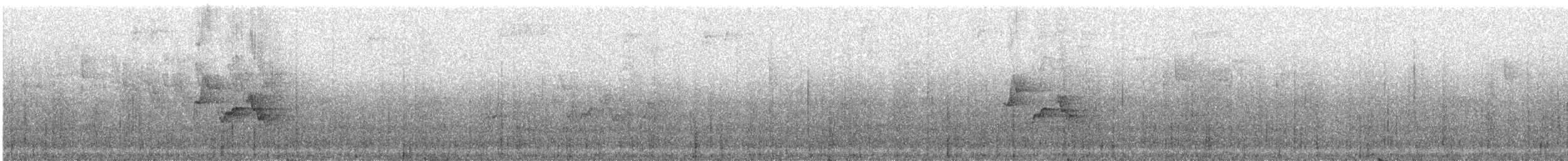 Віреончик білочеревий (підвид minor) - ML242342