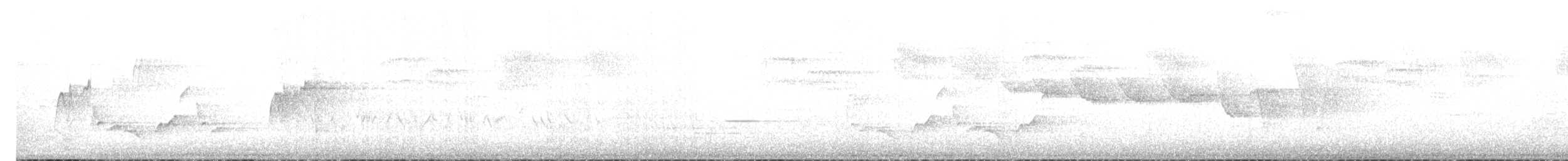 Acadian Flycatcher - ML242351041