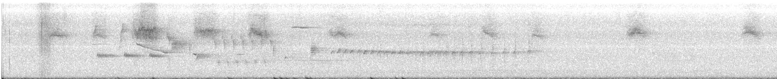 datel karolínský - ML242358751