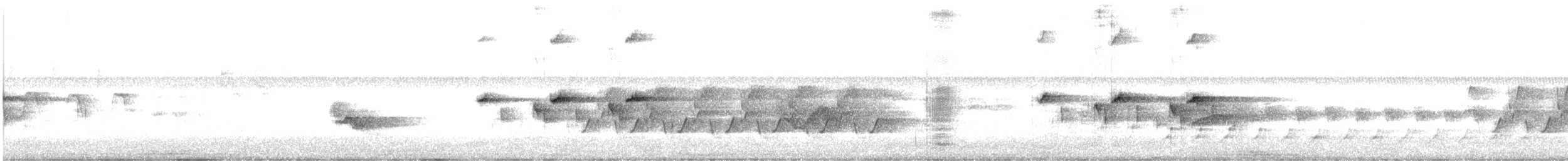 Troglodyte de Caroline - ML242360751