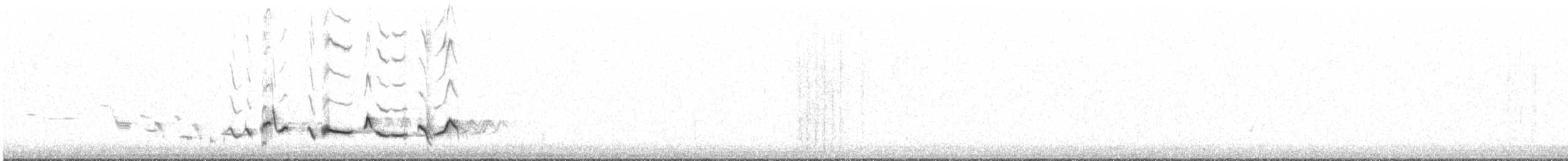 Scott's Oriole - ML242365281