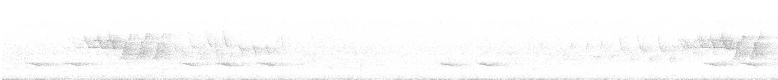 svartbrystparula - ML242365661
