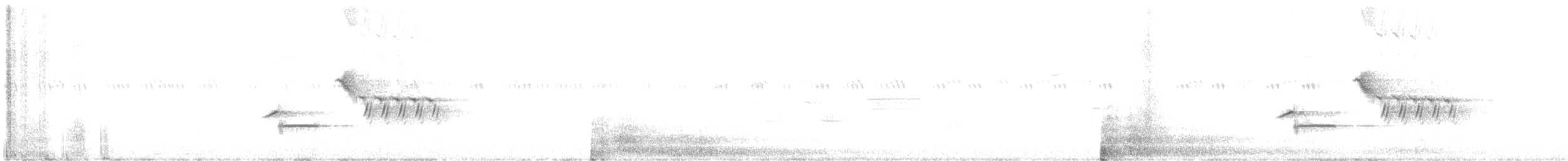 טואי אדום-עין - ML242373271