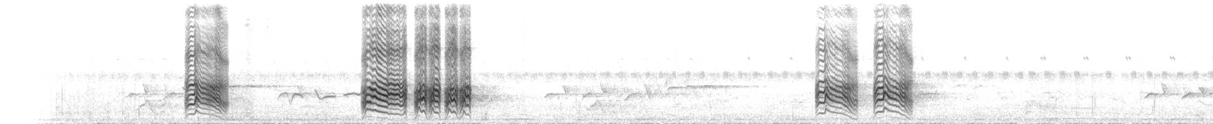 Уздечковая дроздовка (sharpei) - ML242373841