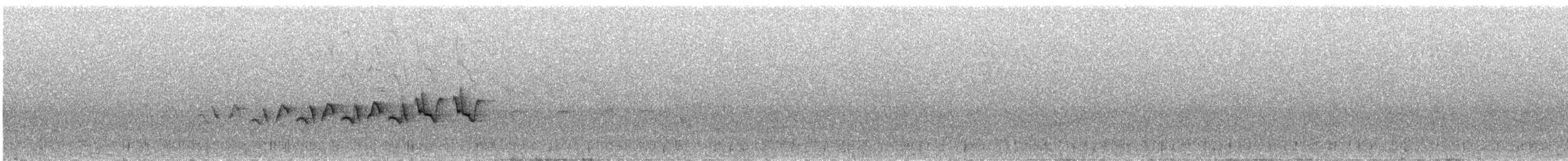 Белокрылая канделита - ML242375781