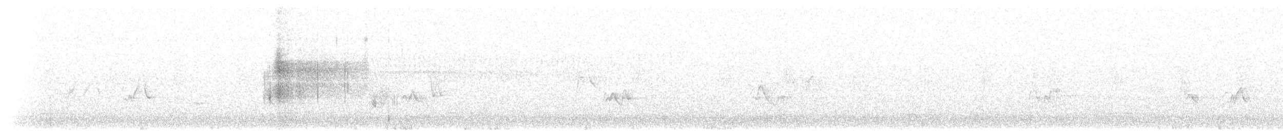 Канадская овсянка-барсучок (subvirgata) - ML242376991