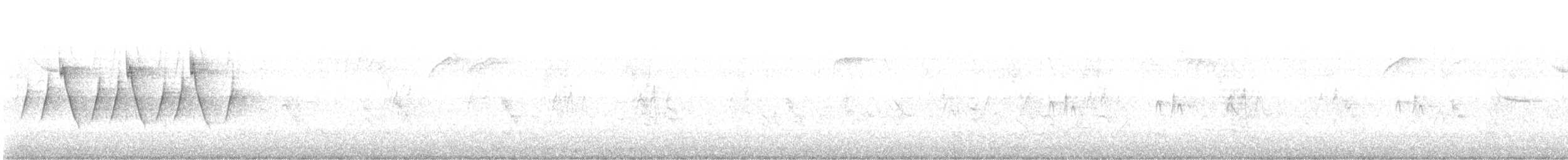 Hooded Yellowthroat - ML242396501