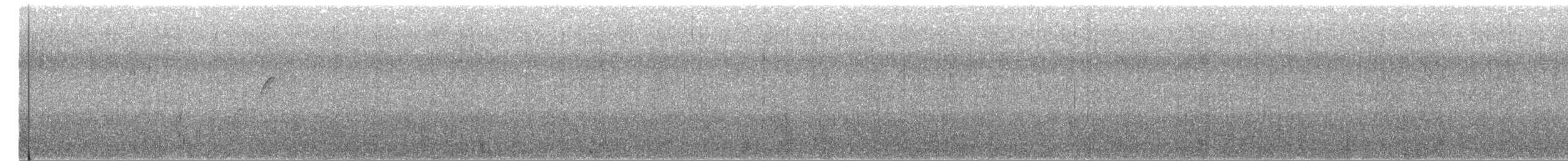 Western Flycatcher (Pacific-slope) - ML242406951