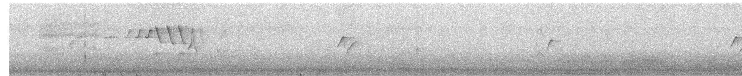 Western Flycatcher (Pacific-slope) - ML242407001