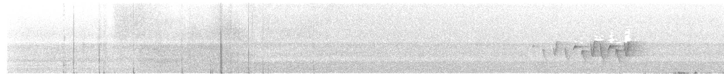 Paruline à gorge grise - ML242432021